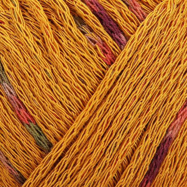 Duo Multicolore 70% Viscosa 30% Cotone Schachenmayr
