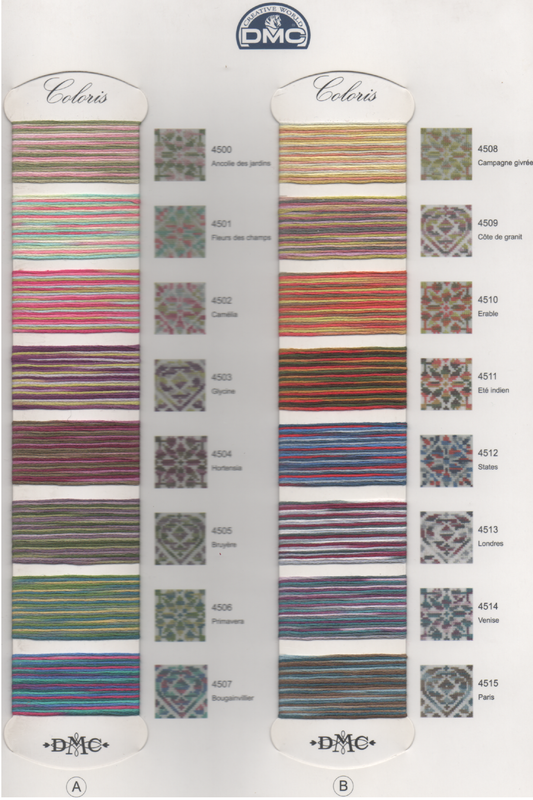 Cotone Moulinè Multicolore Coloris DMC - Coloris Floss art 517