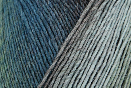 Lana Virtuoso Color 75% Lana Vergine 25% Poliammide - Regia