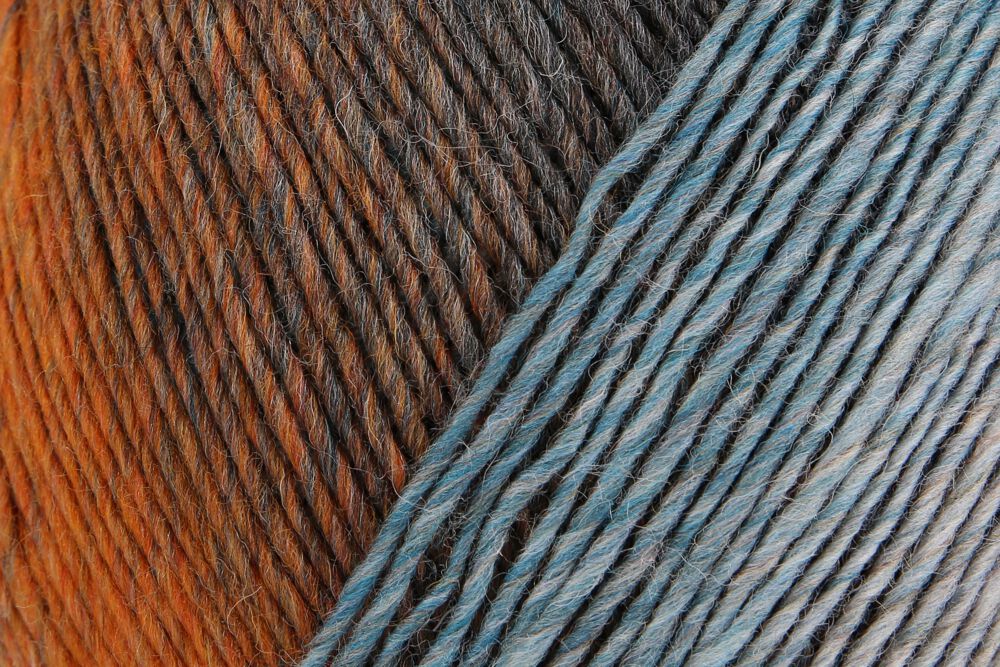 Lana Virtuoso Color 75% Lana Vergine 25% Poliammide - Regia
