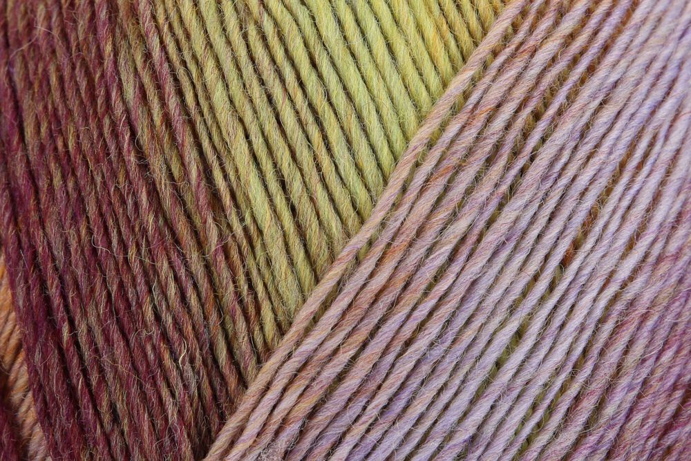 Lana Virtuoso Color 75% Lana Vergine 25% Poliammide - Regia