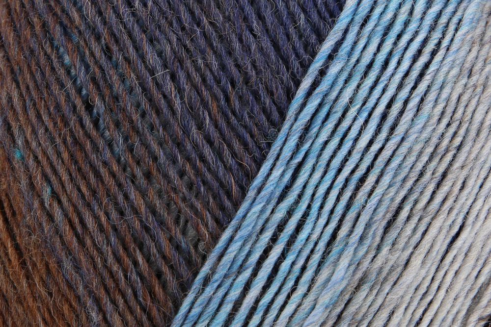 Lana Virtuoso Color 75% Lana Vergine 25% Poliammide - Regia