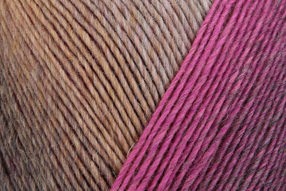 Lana Virtuoso Color 75% Lana Vergine 25% Poliammide - Regia