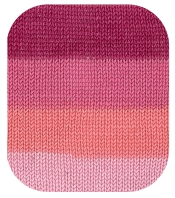 Soft & Easy Color con Dralon 100% Acrilico Schachenmayr
