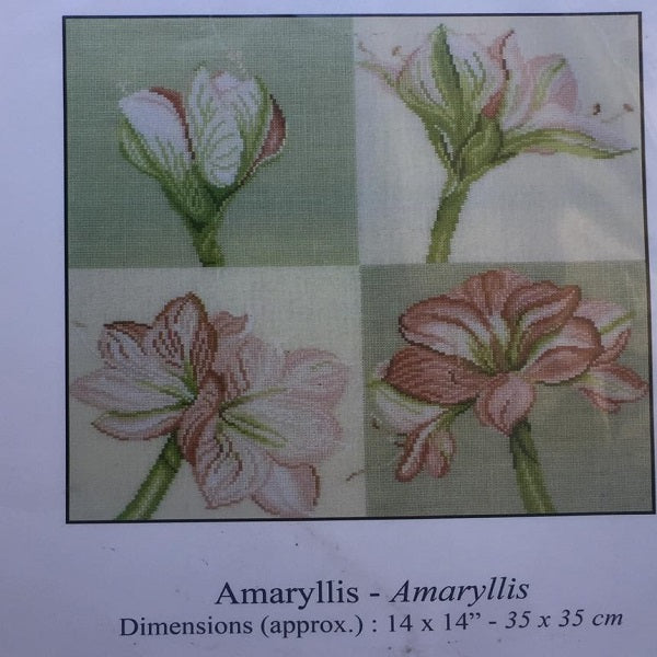 Kit punto croce DECO Amaryllis  DMC